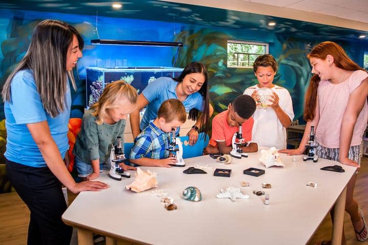 Childrens Activities 132 of 193